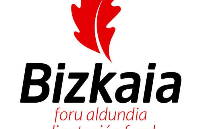 Bizkaia vertical diputacion 1