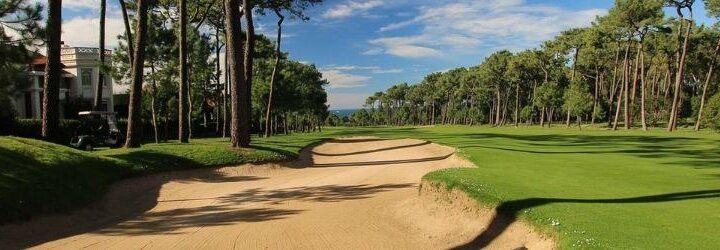 neguri logo con bola abajo derecha