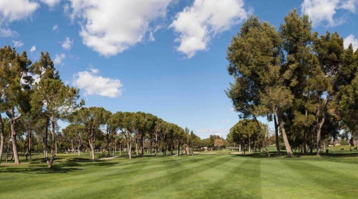 real club pineda de sevilla cover picture scaled 1