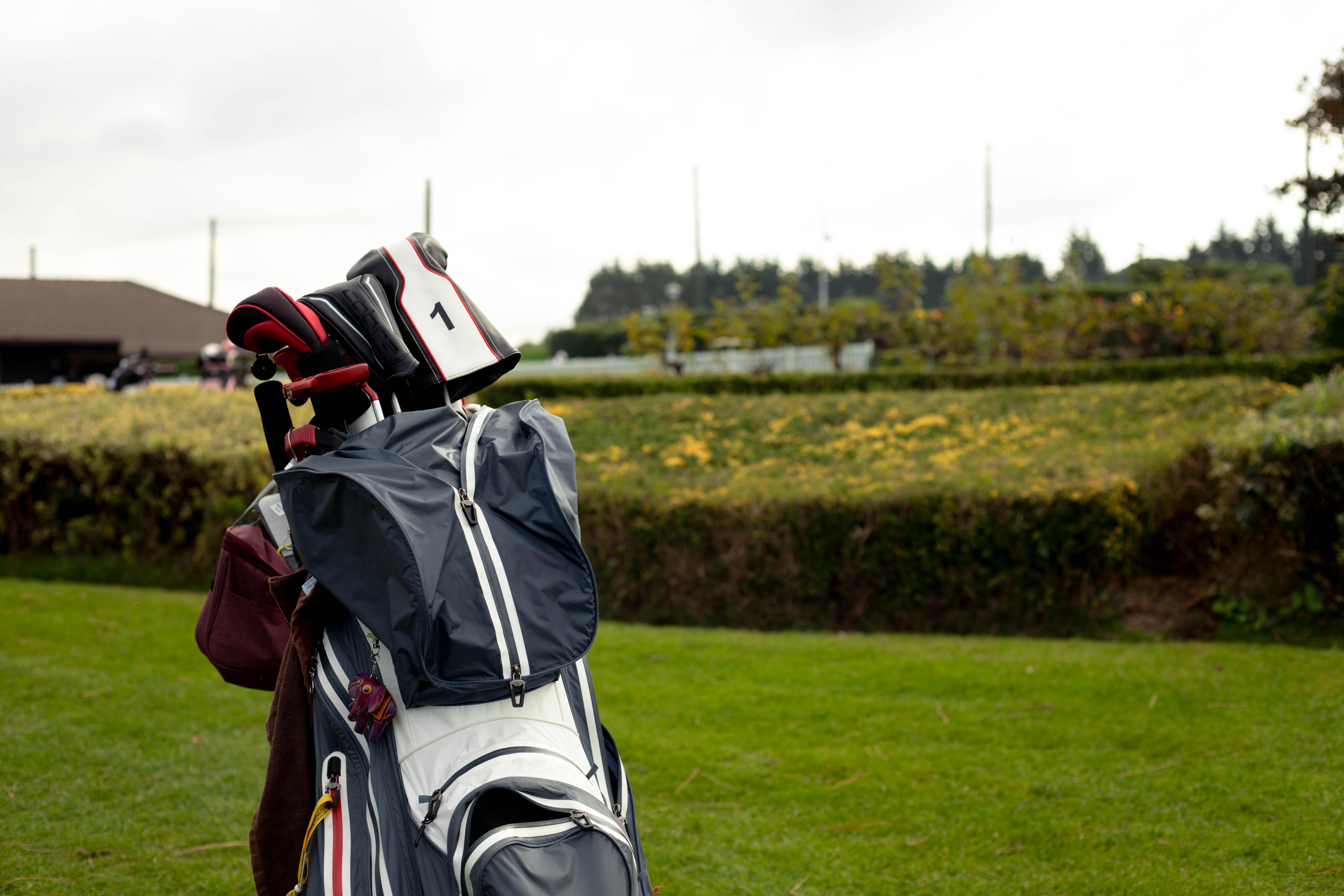 IMG 6814 Mejorado NR